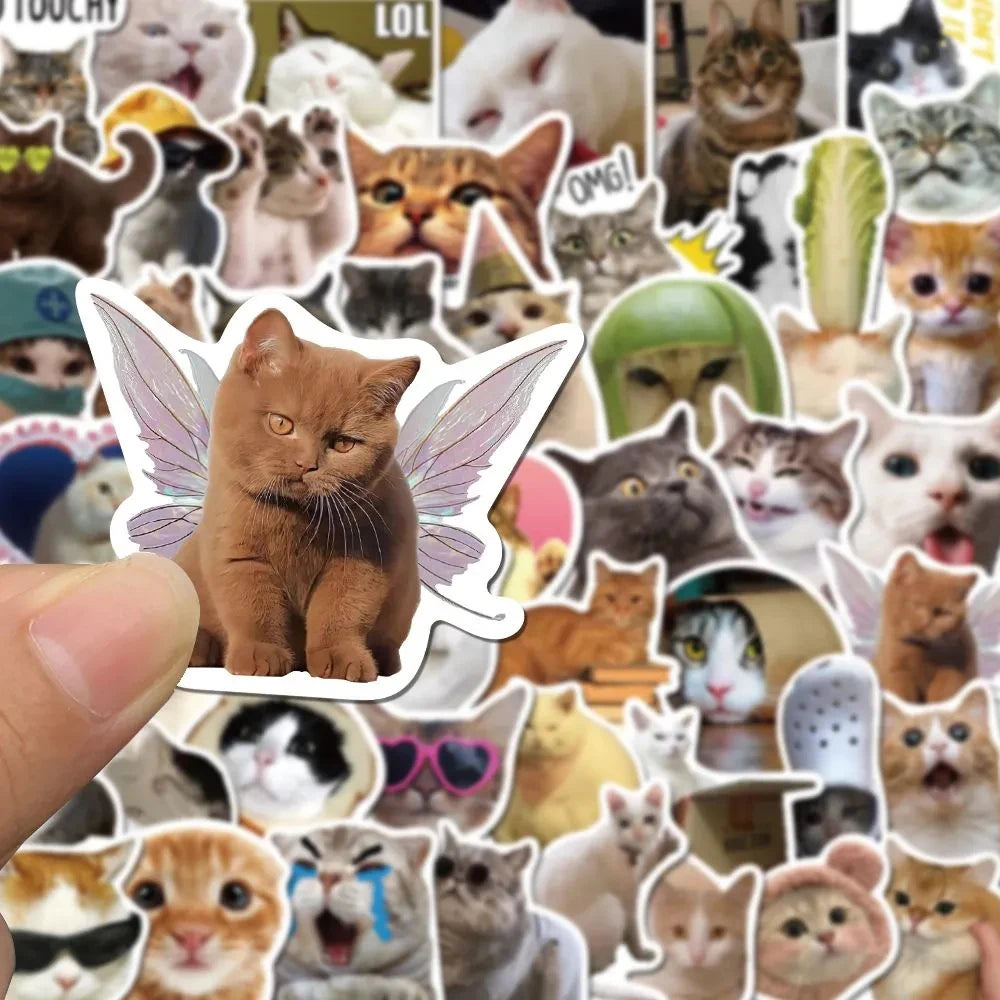 Funny Cat Meme Stickers