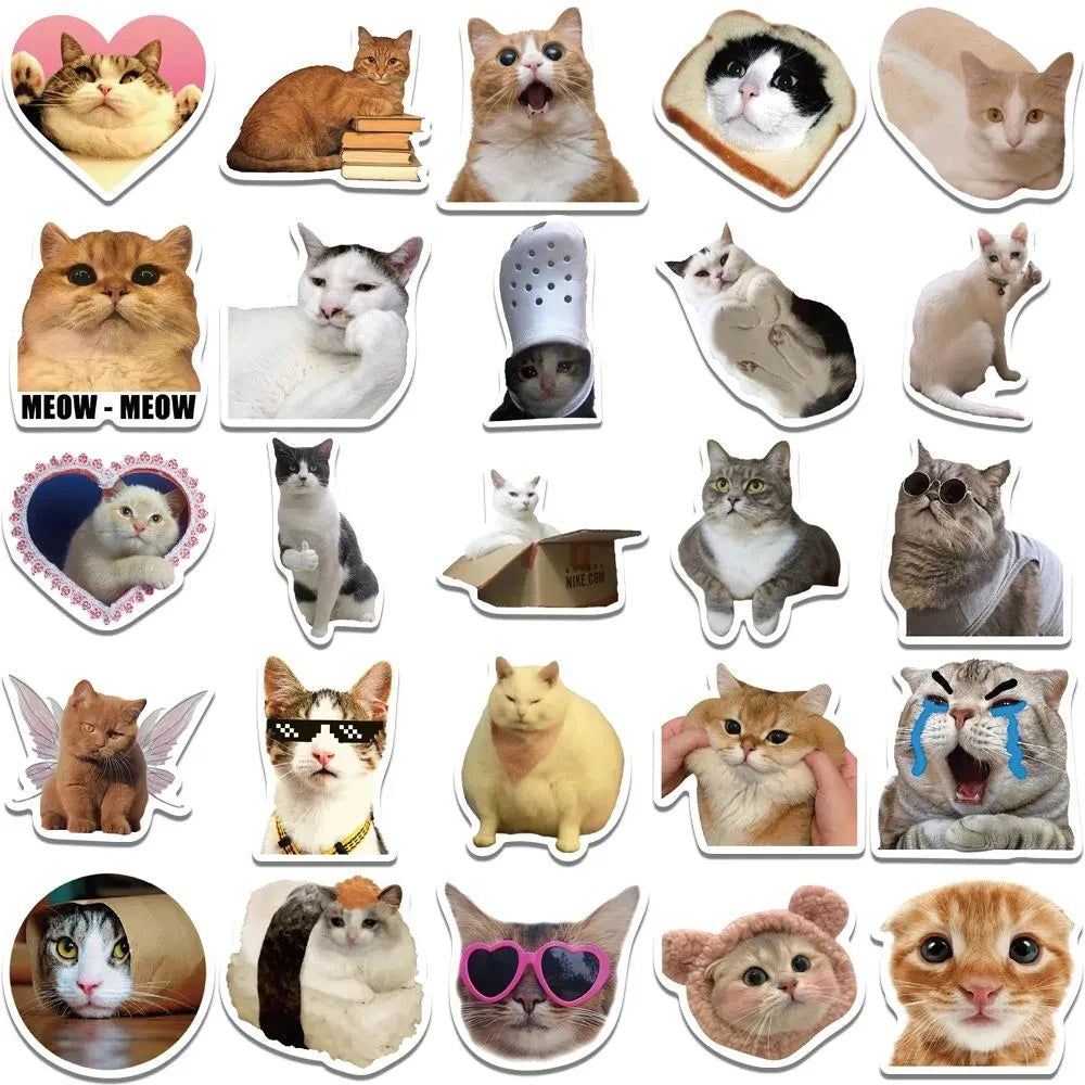 Funny Cat Meme Stickers