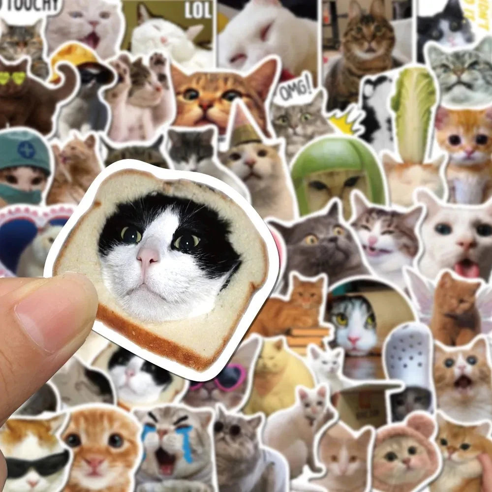 Funny Cat Meme Stickers