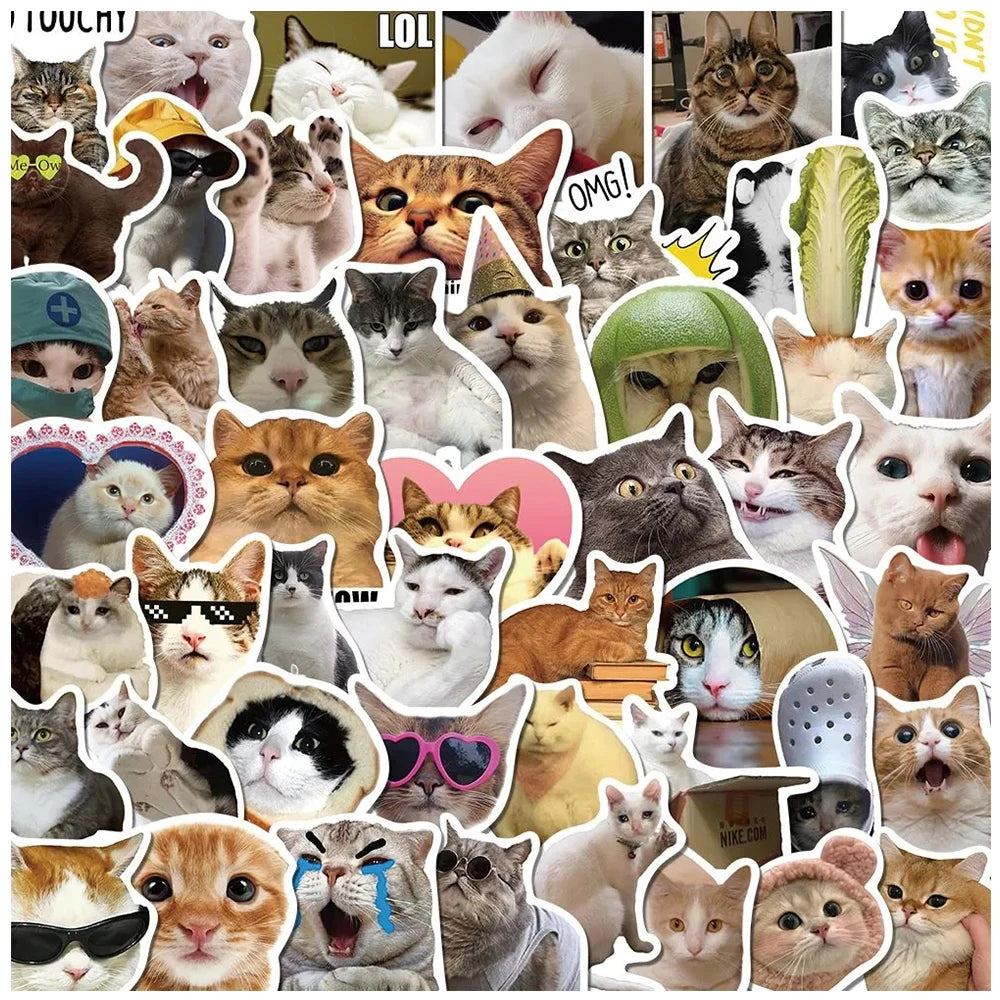 Funny Cat Meme Stickers
