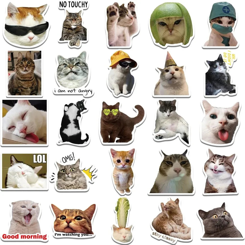 Funny Cat Meme Stickers