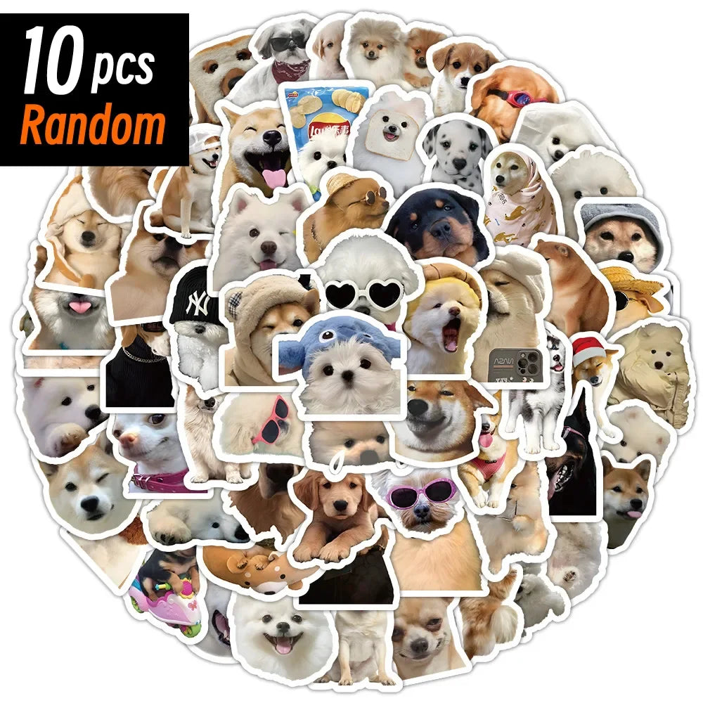 Funny Dog Meme Stickers