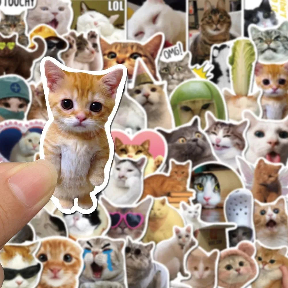 Funny Cat Meme Stickers